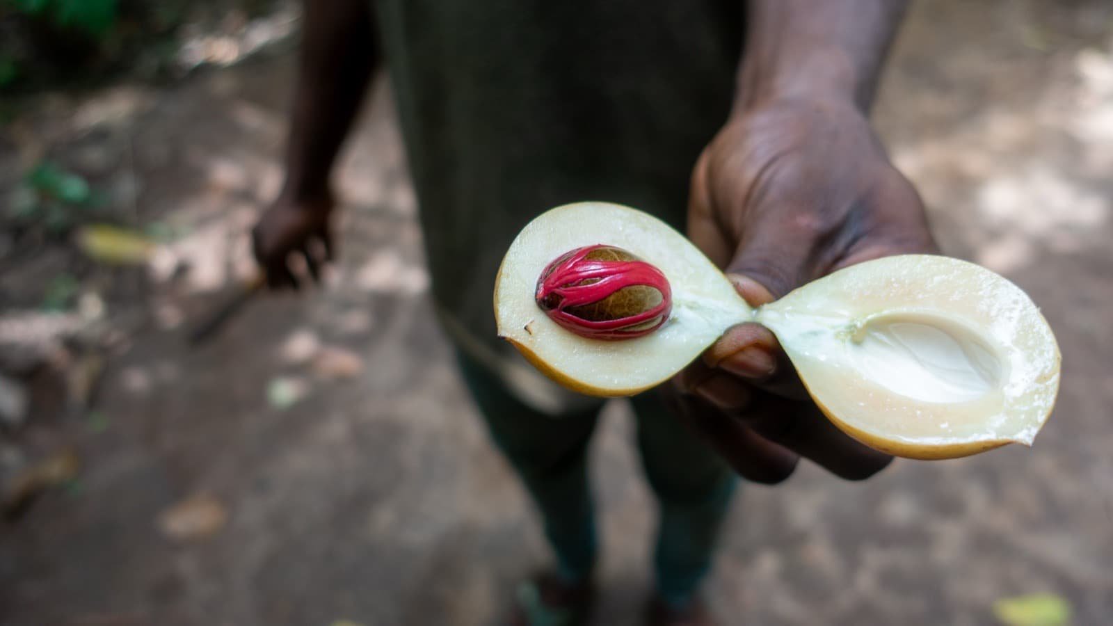 ShotBy Nass travel photography
